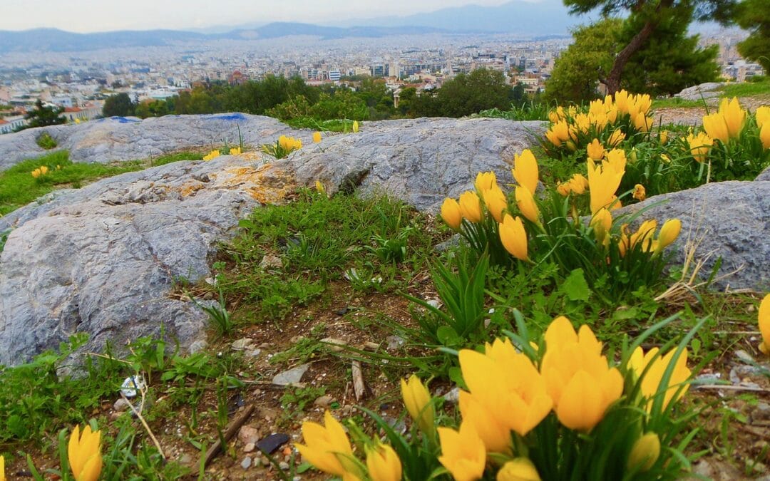 Bezoek de heuvel van Filopappou