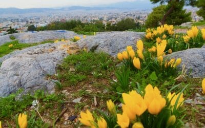 Bezoek de heuvel van Filopappou