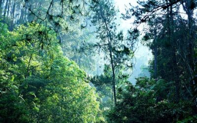 Athene voor avonturiers: De spannendste outdoor activiteiten